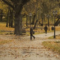 Jaunākā prognoze – nedēļas nogalē gaidāms stiprs vējš un sniegs