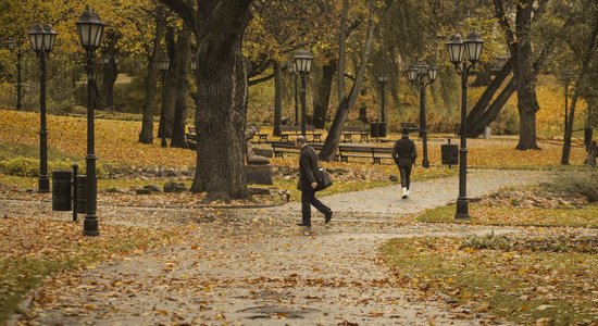 Jaunākā prognoze – nedēļas nogalē gaidāms stiprs vējš un sniegs