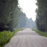 Zināmi uzvarētāji 'Latvijas valsts meži' 12,29 milj. eiro vērtajā iepirkumā