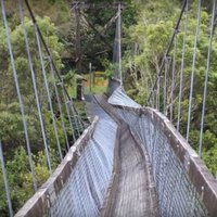ВИДЕО: Туристам удалось снять видео крушения моста, с которого они сами и упали