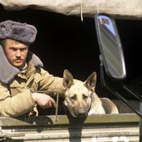 Tramps aizstāv PSRS iebrukumu Afganistānā