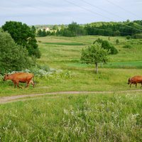 ES Padomē spriež par lauku reģionu dzīvotspēju