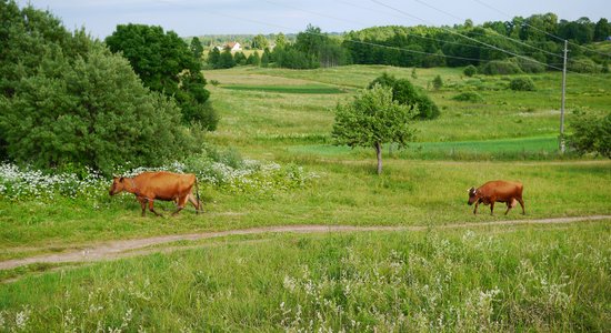 Ceturtdiena būs mākoņaina, iespējamas lokālas lietusgāzes