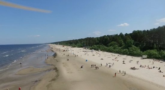 Идет сбор подписей за выделение одного из участков пляжа Юрмалы для выгула домашних питомцев круглый год