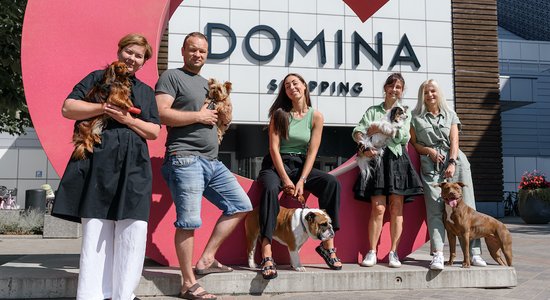 'Domina Shopping' tagad varēs iepirkties arī ar suņiem