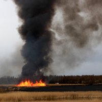 ФОТО, ВИДЕО: Черный дым над Ригой - в Даугавгриве горит тростник