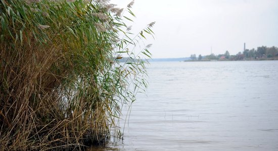 Температура воды в водоемах Латвии — до +21 градуса