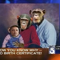 Республиканка сравнила Обаму с детенышем шимпанзе