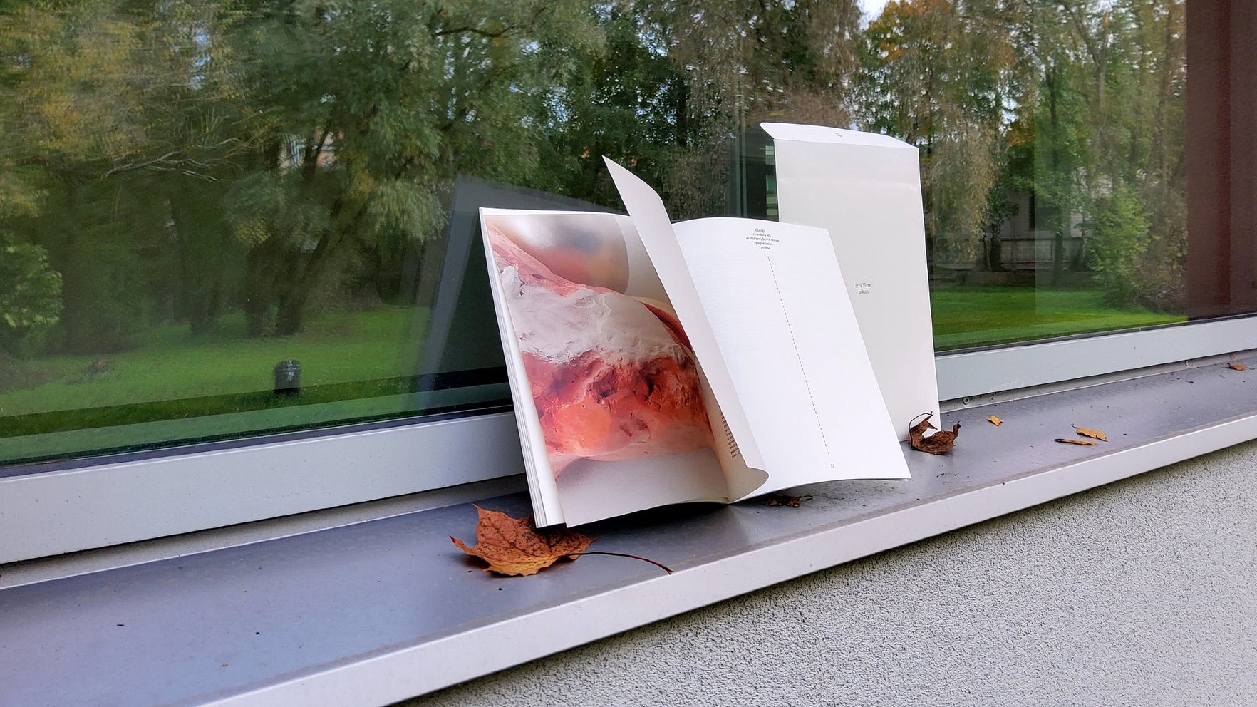 Celties augšup. Recenzija par Ievas Vieses debijas dzejas krājumu "laikam"