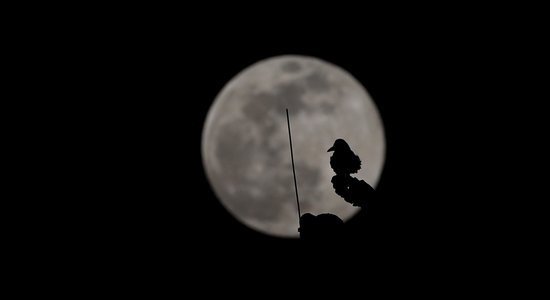 Padižojies 'Delfi Aculieciniekam' ar iespaidīgā supermēness fotogrāfijām