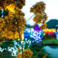 ФОТО. 30 тысяч лампочек и Гринч – знаменитый дом в Пардаугаве вновь украшен в честь праздников