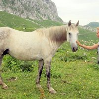 Foto: Anna Rozīte ceļo uz Kaukāza kalniem