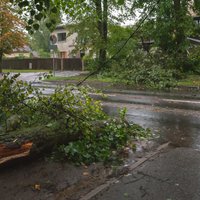 Vētra Latgalē laupījusi dzīvību vienam cilvēkam; vēl vairāki citviet Latvijā cietuši