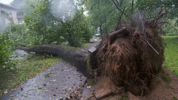 Vētras postījumi Pārdaugavā