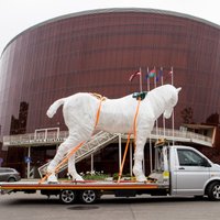 Neparasti skati: Rotko centra spoku zirgs brauc uz Daugavpili