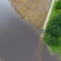 Uz salas izolētās govis Baltinavas novadā vairs nevar aizpeldēt uz Krieviju