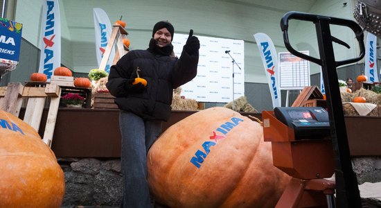 Foto: Noskaidrots šī gada Latvijas lielākais ķirbis – 443 kilogramu smags milzenis