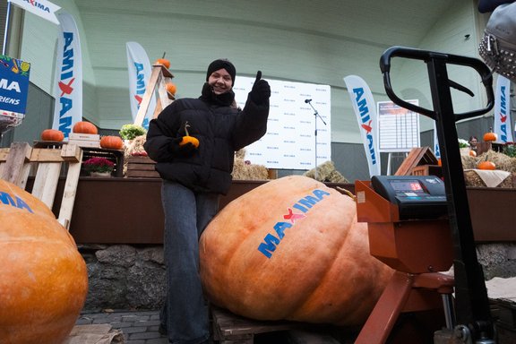 Foto: Noskaidrots šī gada Latvijas lielākais ķirbis – 443 kilogramu smags milzenis