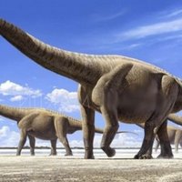 Kāds bijis lielākais dzīvnieks planētas vēsturē?