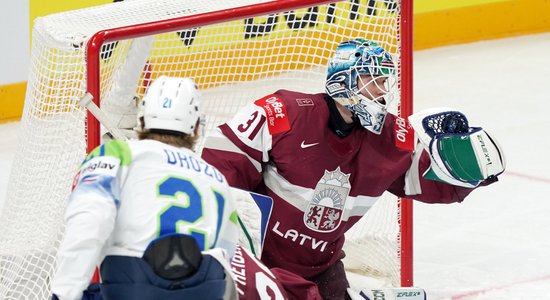 Шилов: сами виноваты, что позволили акуле почувствовать запах крови