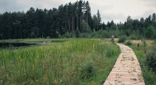 ФОТО: Удивительная пешеходная тропа вдоль озера Билска