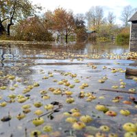 Salaspils novadā plūdi skāruši līdz 300 mājām; brīdina par augstu dzeramā ūdens piesārņojuma risku