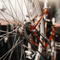 В Латвии третий год подряд растет число велосипедных краж