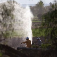 Meksikā degvielas cauruļvada sprādzienā bojāgājušo skaits pieaudzis līdz 114