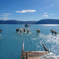 Grenlandes ledāju straujajā kušanā vainojami arī okeāna siltie ūdeņi, liecina pētījums