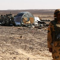 Египет: поисковая операция на месте крушения А321 завершена