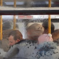 'Rīgas satiksmes' trolejbusā nokrīt sirmgalve un gūst traumas