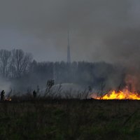 Foto: Kūlas ugunsgrēks pie Rumbulas lidlauka