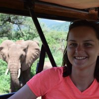 Čūskas, safari un eksotiskā Āfrika: latviete divus mēnešus strādā Tanzānijā