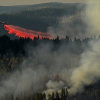 Savvaļas ugunsgrēku dūmi ASV rietumdaļas iedzīvotājiem radījuši nopietnas veselības likstas