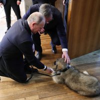 Лидер Сербии подарил Путину щенка шарпланинской овчарки, пополнив его мини-зоопарк