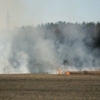 Sestdien Latvijā aktivizējušies kūlas dedzinātāji; dzēsti 32 kūlas ugunsgrēki