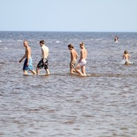 На пляже в Вецаки не советуют купаться из-за сине-зеленых водорослей
