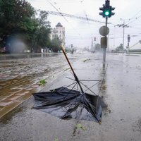 После бури. Подвалы под водой, света нет, а рапса может и не быть: Латвия подсчитывает ущерб от непогоды