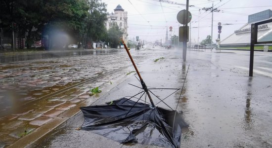 После бури. Подвалы под водой, света нет, а рапса может и не быть: Латвия подсчитывает ущерб от непогоды