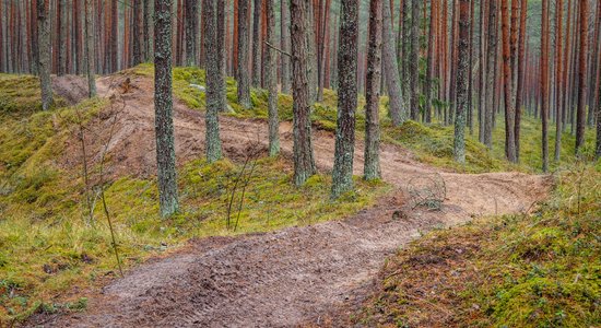 Motobraucēji pie Ložmetējkalna iznīcina latviešu strēlnieku cīņu vietas