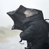 Meteorologi brīdina par vētru Rīgā