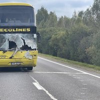 Рейсовый автобус сбил под Резекне лося: полиция ограничивала движение