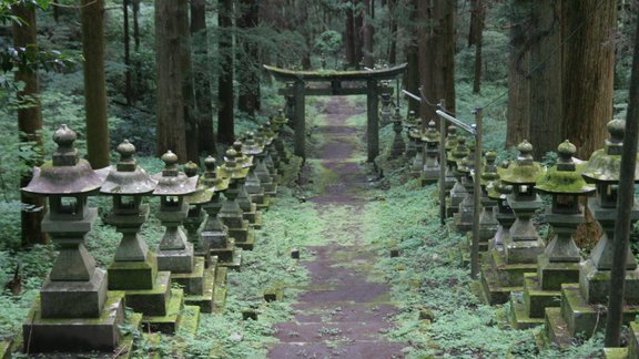 Kamishikimikumano - senais mežs Japānā - 3