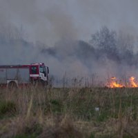 Arī Lielās talkas dienā aktīvi dedzināta kūla; reģistrēti vairāki desmiti ugunsgrēku