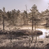 Как связаны защита болот в Германии и производство теплых курток