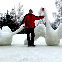 Foto: Sventē tapuši īpaši sniega gulbji