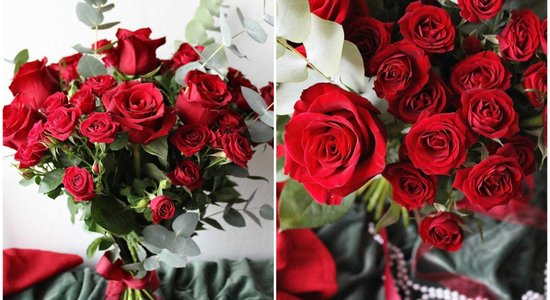 Kā rūpēties par rozēm tā, lai tās priecētu ilgāk? Talkā nāk floristes ieteikumi