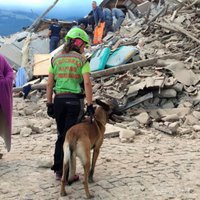 Нет сведений о латвийцах, пострадавших при землетрясении в Италии