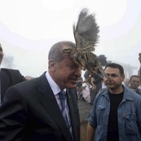 Turcija par Erdoganu izsmejošu TV raidījumu izsauc Vācijas vēstnieku