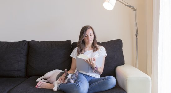 Septiņas mierīgas suņu šķirnes – mājās sēdētāji, kam nevajag daudz enerģisku aktivitāšu